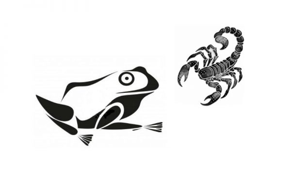 Histoire Du Scorpion Et De La Grenouille XV de France recherche désespérément des joueurs dans le TOP 14 - Le